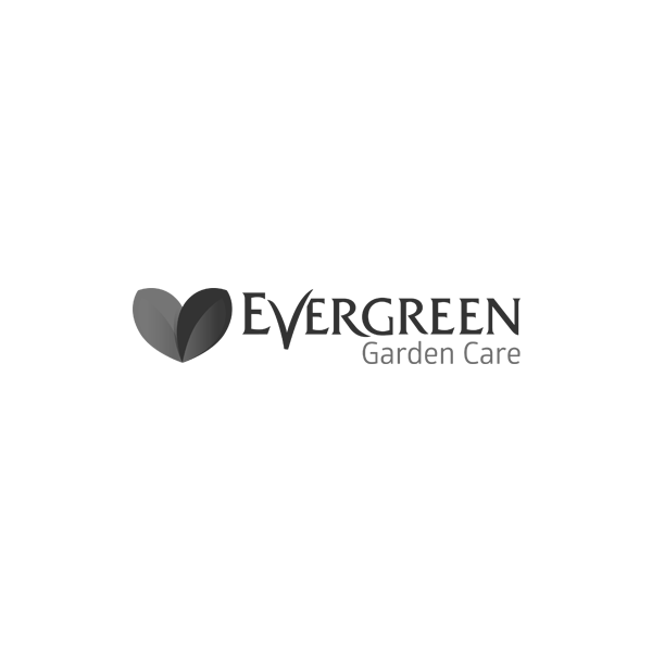 Exponent Evergreen